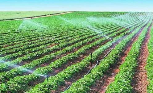 操射骚零农田高 效节水灌溉